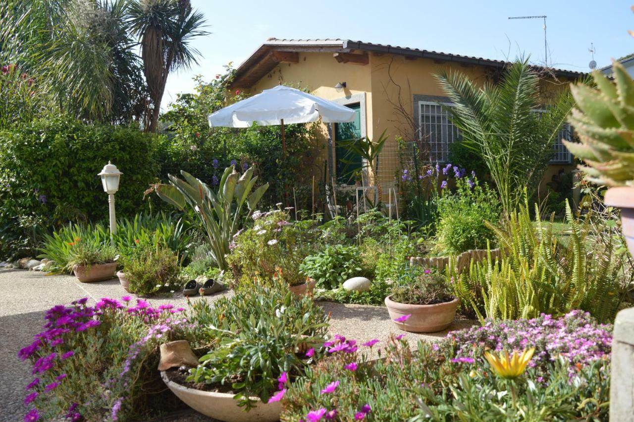 Villa Le Cicale Casal Palocco Exterior foto